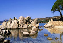 天涯论坛公务员考试：一场全民国考的网络备考江湖！